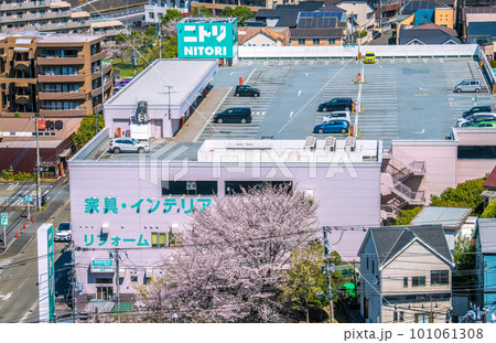 日本の横浜都市景観　港北ニュータウンのインテリア用品店などを望む（画面中央の樹木は桜の木） 101061308