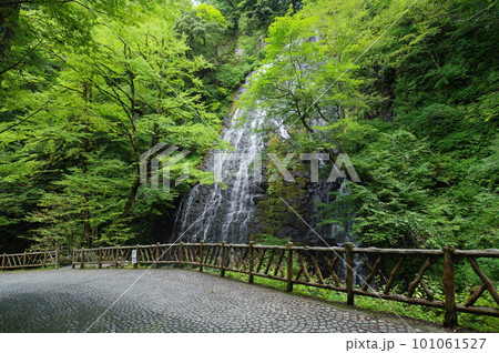 龍双ヶ滝　福井県今立郡池田町 101061527