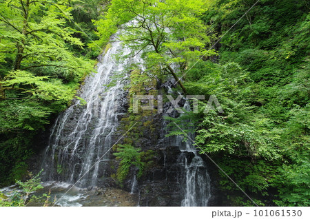 龍双ヶ滝　福井県今立郡池田町 101061530
