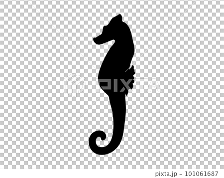 かっこいいタツノオトシゴ(シルエット)のイラスト素材 かっこいいタツノオトシゴ(シルエット)のイラスト素材 101061687