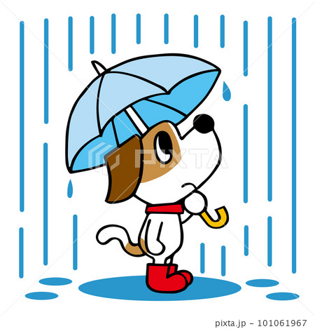 ジャックラッセルテリア犬 雨の中傘をさす ジャックラッセルテリア犬 雨の中傘をさす 101061967