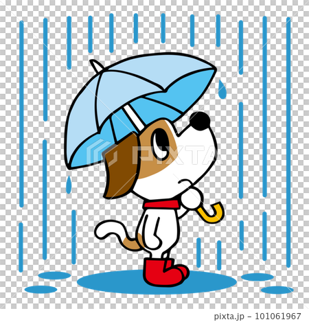 ジャックラッセルテリア犬 雨の中傘をさす ジャックラッセルテリア犬 雨の中傘をさす 101061967