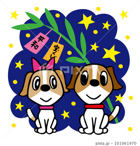 ジャックラッセルテリア犬 七夕の織姫と彦星 ジャックラッセルテリア犬 七夕の織姫と彦星 101061970