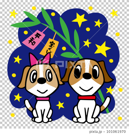 ジャックラッセルテリア犬 七夕の織姫と彦星 ジャックラッセルテリア犬 七夕の織姫と彦星 101061970