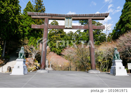 秋葉神社大鳥居 101061971