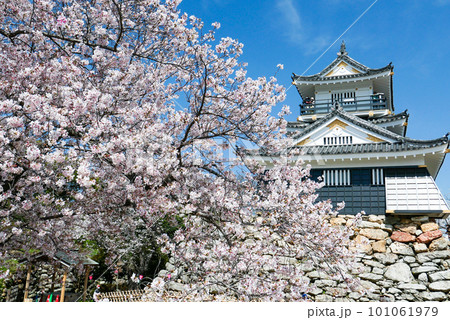 spring, cherry blossom, cherry tree - Stock Photo [101061979