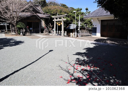 春の小動神社 101062368