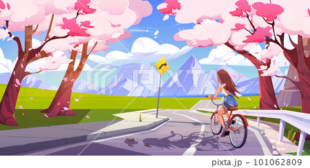 Girl ride bicycle on road, falling sakura petals 101062809