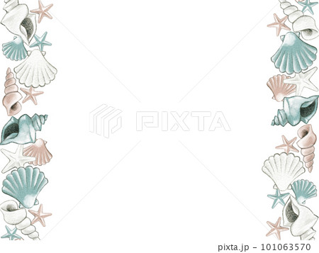 夏のかわいい貝殻のフレーム素材 101063570