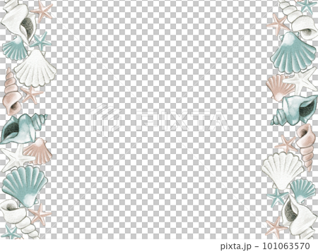 夏のかわいい貝殻のフレーム素材 101063570
