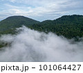 Aerial view cloud move at forest at hill 101064427