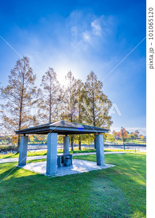 秋晴れを背景に芝生とベンチ「佐賀県立森林公園」 秋晴れを背景に芝生とベンチ「佐賀県立森林公園」 101065120