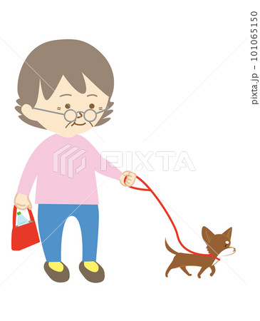 眼鏡をかけたシニアの女性が、ペットの小型犬の散歩をする様子 101065150