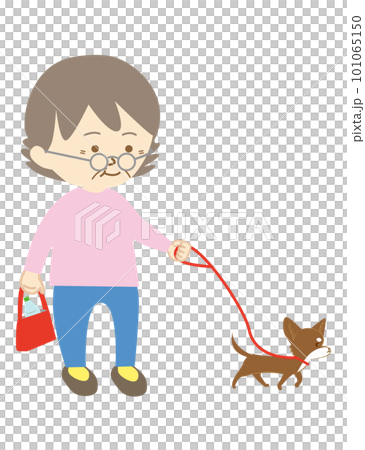 眼鏡をかけたシニアの女性が、ペットの小型犬の散歩をする様子 101065150