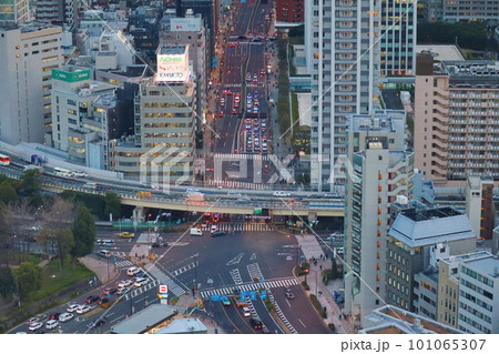 東京タワーから望む赤羽橋交差点 東京タワーから望む赤羽橋交差点 101065307