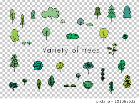 Vector illustration of a wide variety of cute trees drawn with simple lines 101065632