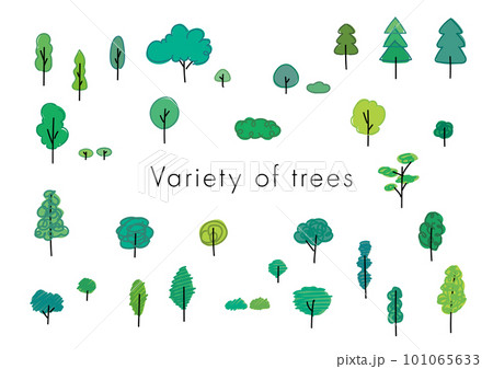 シンプルな線で描かれた多種多様なかわいい木のベクターイラスト 101065633
