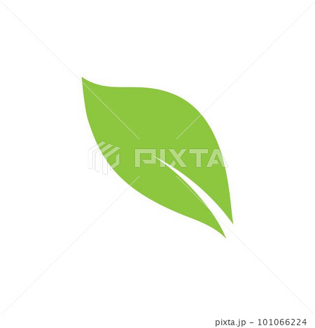 Leaf symbol vector icon 101066224
