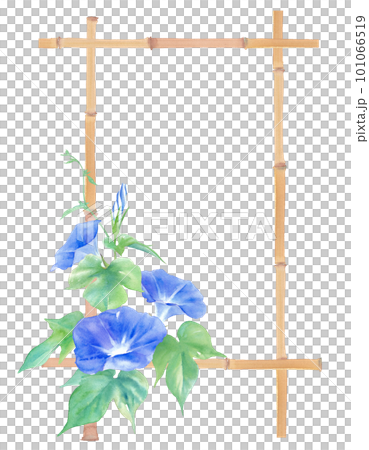 A Japanese-style frame design composed of watercolor illustrations of blue morning glory and bamboo. image of summer. 101066519