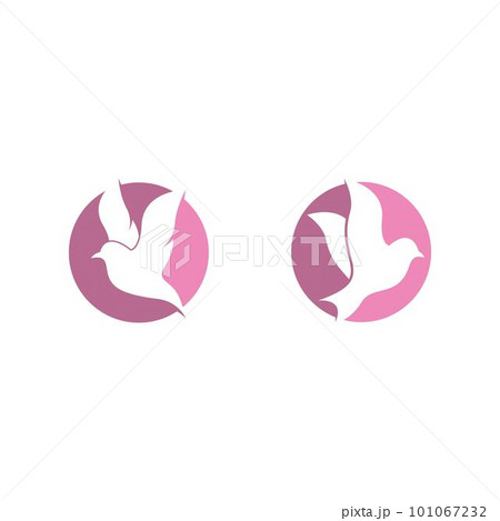 Dove vector icon illustration design Dove vector icon illustration design 101067232