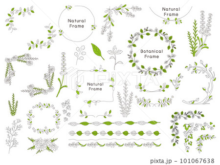 線画植物のセット素材 101067638