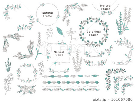 線画植物のセット素材 101067686