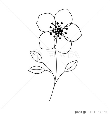 Hand drawn flower in line art doodle style. Botanical decorative element. 101067876
