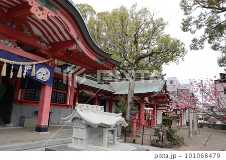 春の宮崎八幡宮 春の宮崎八幡宮 101068479