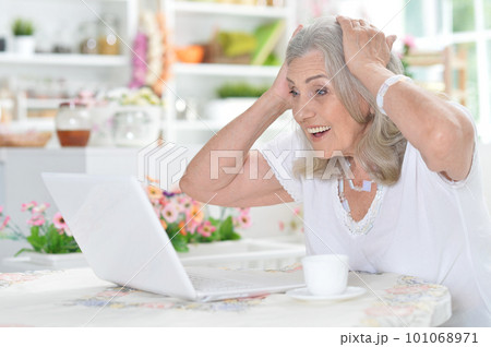 old nice woman using laptop at home old nice woman using laptop at home 101068971
