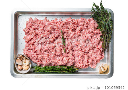 Raw Chicken or turkey ground meat in a kitchen tray. Isolated on white background 101069542