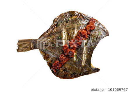 Grilled Flounder or plaice with tomato sauce on wooden cutting board. Isolated background Grilled Flounder or plaice with tomato sauce on wooden cutting board. Isolated background 101069767