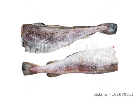 Raw cod whole fish on kitchen table. Isolated on white background 101070013
