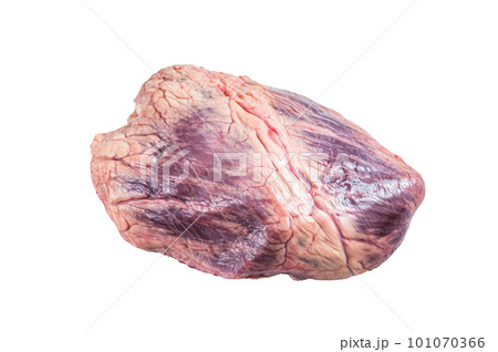 Beef or veal raw heart on a butcher table. Isolated on white background 101070366
