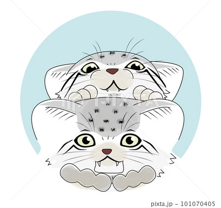 こちらを覗いている好奇心いっぱいなマヌルネコの子猫達のイラスト こちらを覗いている好奇心いっぱいなマヌルネコの子猫達のイラスト 101070405
