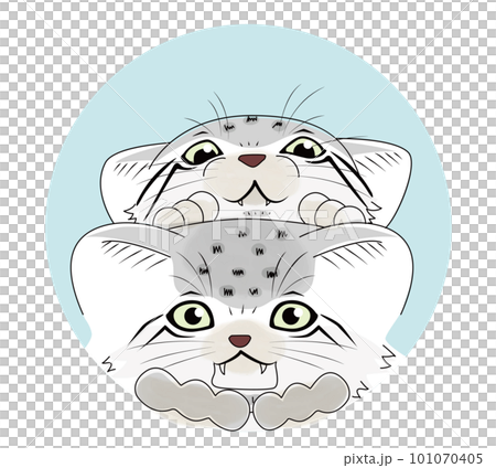 こちらを覗いている好奇心いっぱいなマヌルネコの子猫達のイラスト こちらを覗いている好奇心いっぱいなマヌルネコの子猫達のイラスト 101070405