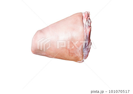 Raw pork ham hocks on a steel plate with herbs. Isolated on white background 101070517