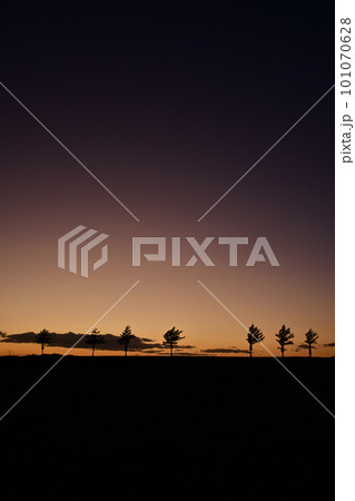 メルヘンの丘 101070628