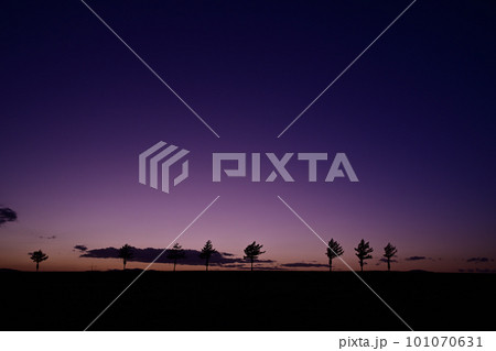 メルヘンの丘 101070631