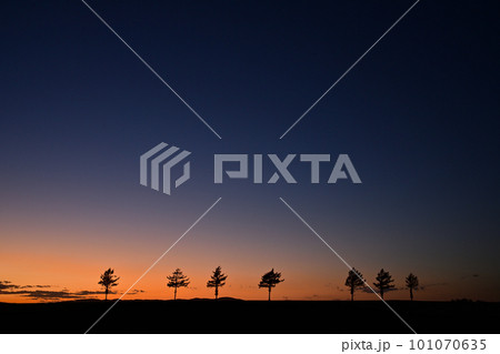 メルヘンの丘 101070635