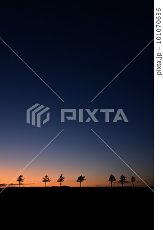 メルヘンの丘 101070636