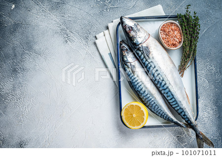 Raw mackerel scomber fish with ingredients for cooking in baking dish. White background. Top view. Copy space Raw mackerel scomber fish with ingredients for cooking in baking dish. White background. Top view. Copy space 101071011