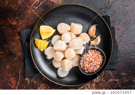 Raw sea scallops seafood on a plate with pink salt and lemon. Dark background. Top view Raw sea scallops seafood on a plate with pink salt and lemon. Dark background. Top view 101071457