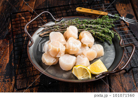 Raw scallops in a steel tray with herbs. Wooden background. Top view Raw scallops in a steel tray with herbs. Wooden background. Top view 101071560