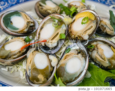 Closeup of Delicious steamed abalones. Closeup of Delicious steamed abalones. 101071665