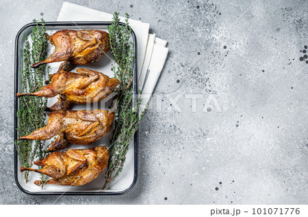 Homemade sticky Roast quails with spices and herbs in a baking dish. Gray background. Top view. Copy space Homemade sticky Roast quails with spices and herbs in a baking dish. Gray background. Top view. Copy space 101071776