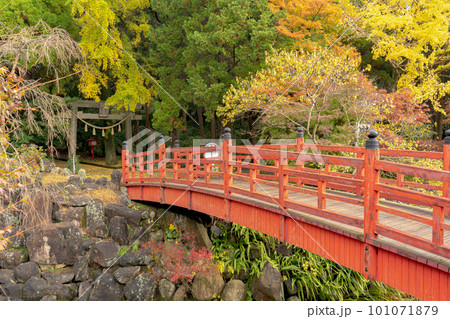 冠嶽神社の橋と紅葉 冠嶽神社の橋と紅葉 101071879