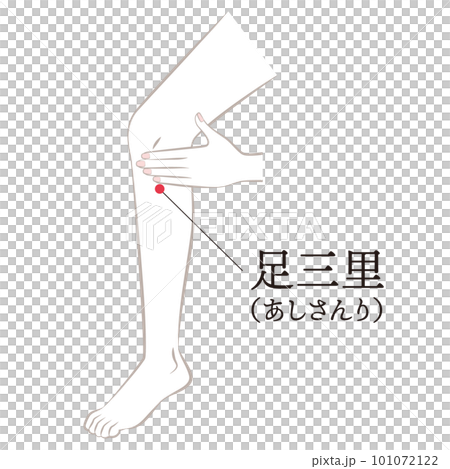 足のツボ　足三里 101072122