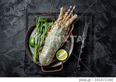 Cooking Spiny lobster or sea crayfish with herbs and spices. Black background. Top view 101072160