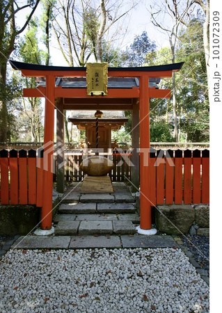 下鴨神社の境内の雑太社 下鴨神社の境内の雑太社 101072309