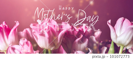 Bunch of Parrot Style Tulips 101072773